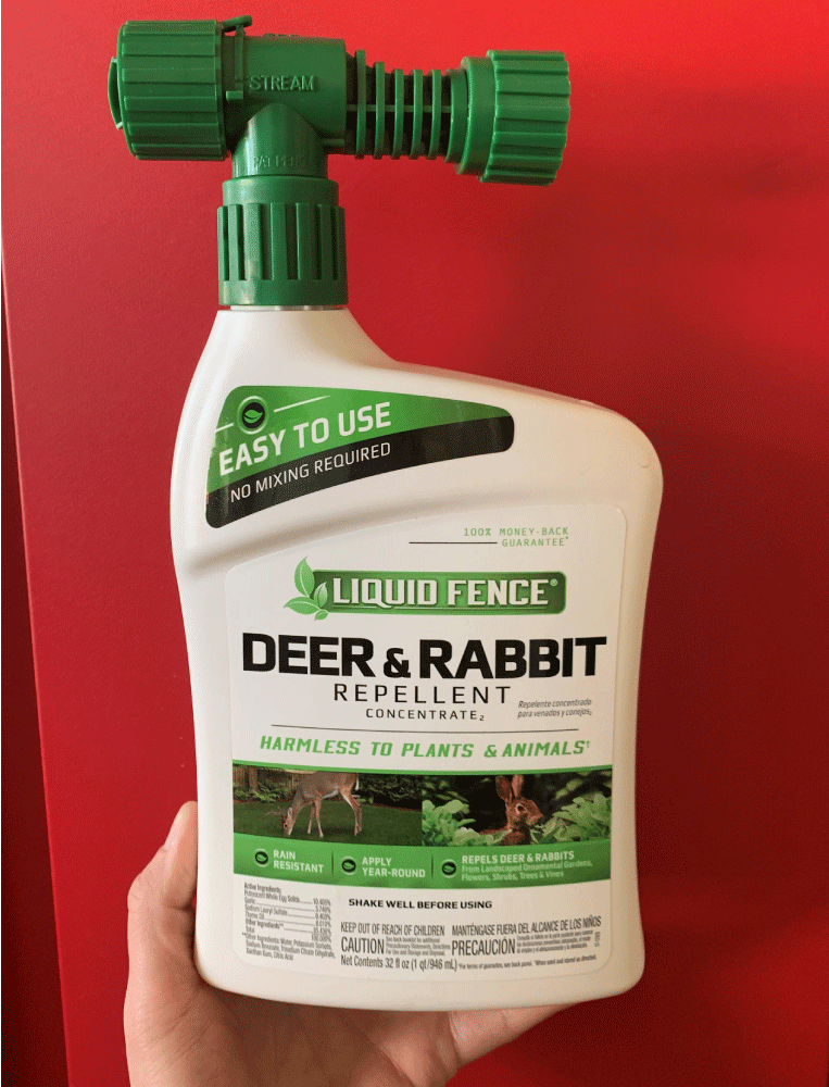 rabbit repellent for spring yard